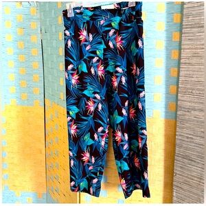 Time & True Capri Pants 16/18